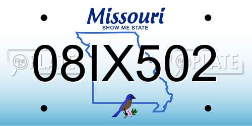 08IX502 Missouri License Plate