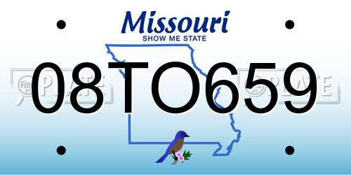 08TO659 Missouri License Plate