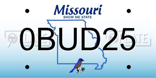 0BUD25 Missouri License Plate