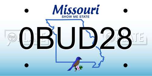 0BUD28 Missouri License Plate