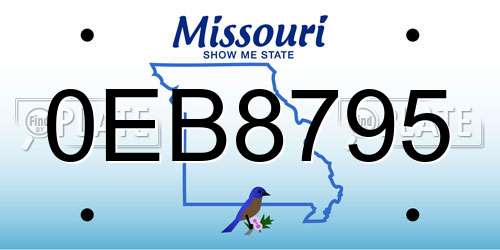 0EB8795 Missouri License Plate