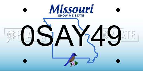0SAY49 Missouri License Plate