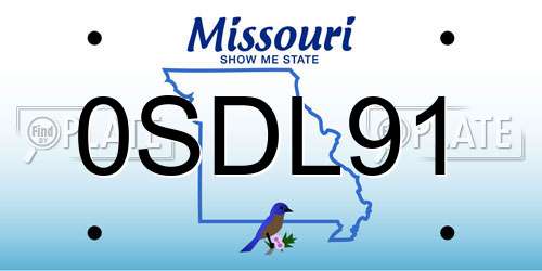 0SDL91 Missouri License Plate