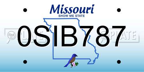 0SIB787 Missouri License Plate