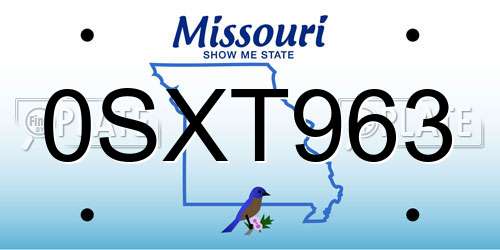 0SXT963 Missouri License Plate