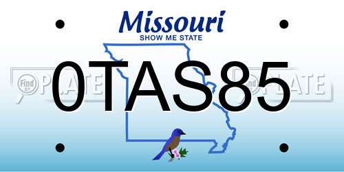 0TAS85 Missouri License Plate
