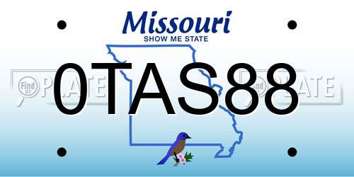 0TAS88 Missouri License Plate