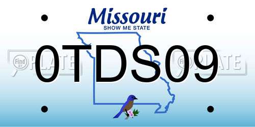 0TDS09 Missouri License Plate