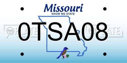 0TSA08 Missouri License Plate