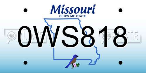 0WS818 Missouri License Plate
