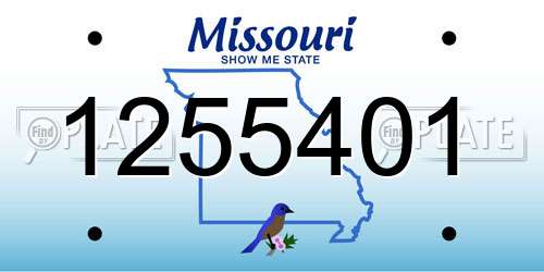 1255401 Missouri License Plate
