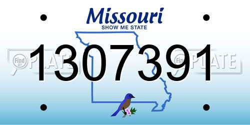 1307391 Missouri License Plate