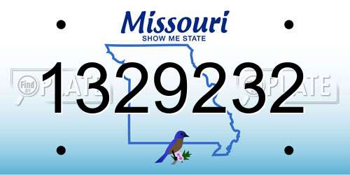 1329232 Missouri License Plate