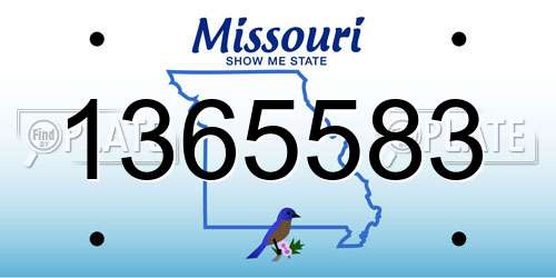 1365583 Missouri License Plate
