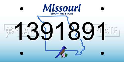 1391891 Missouri License Plate