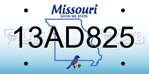 13AD825 Missouri License Plate