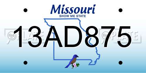 13AD875 Missouri License Plate