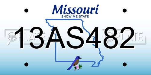 13AS482 Missouri License Plate