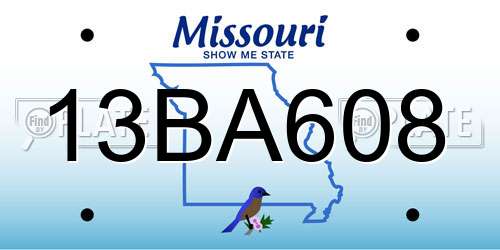 13BA608 Missouri License Plate