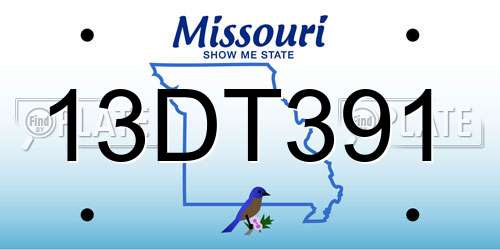 13DT391 Missouri License Plate