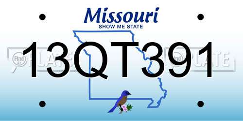 13QT391 Missouri License Plate