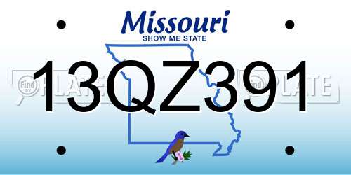 13QZ391 Missouri License Plate