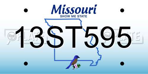 13ST595 Missouri License Plate
