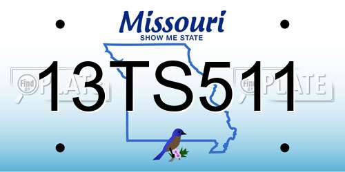 13TS511 Missouri License Plate