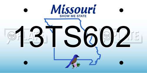 13TS602 Missouri License Plate