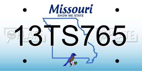 13TS765 Missouri License Plate