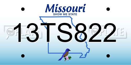 13TS822 Missouri License Plate