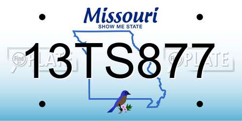 13TS877 Missouri License Plate