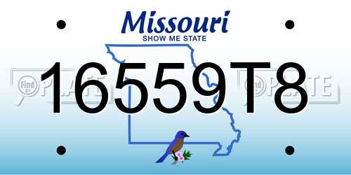 16559T8 Missouri License Plate