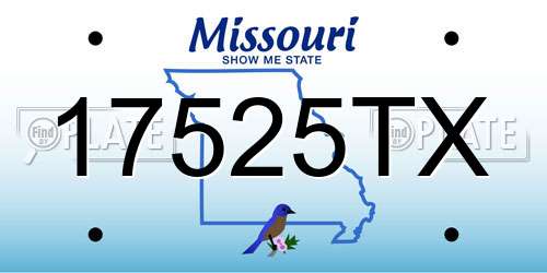 17525TX Missouri License Plate