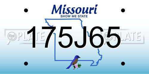 175J65 Missouri License Plate