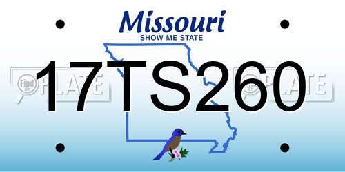 17TS260 Missouri License Plate