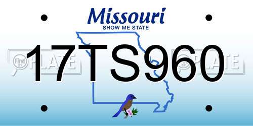 17TS960 Missouri License Plate