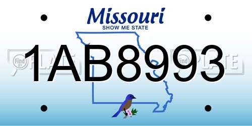 1AB8993 Missouri License Plate