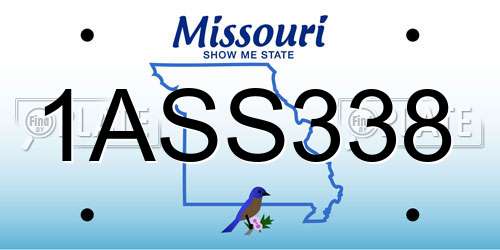 1ASS338 Missouri License Plate