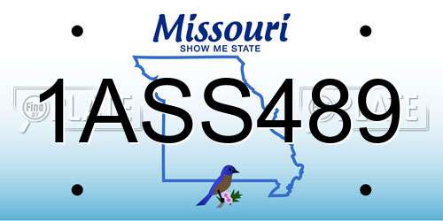 1ASS489 Missouri License Plate