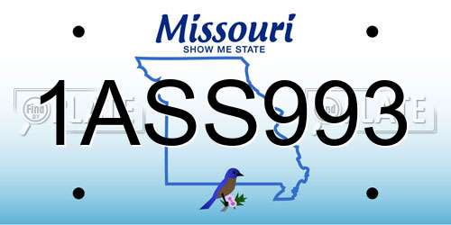 1ASS993 Missouri License Plate