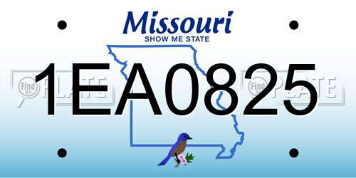 1EA0825 Missouri License Plate