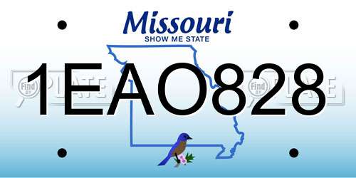 1EAO828 Missouri License Plate