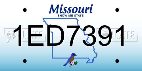 1ED7391 Missouri License Plate