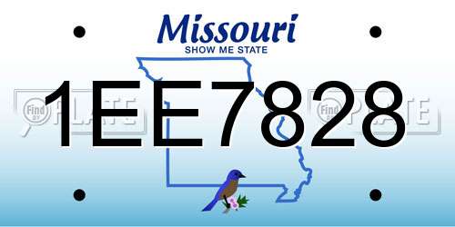1EE7828 Missouri License Plate