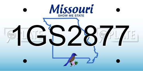 1GS2877 Missouri License Plate