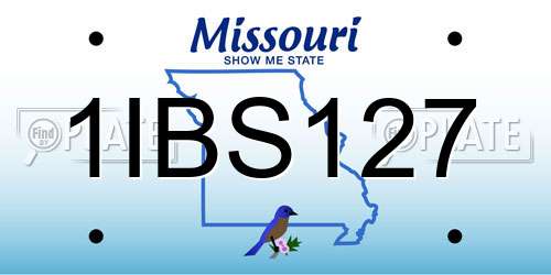 1IBS127 Missouri License Plate