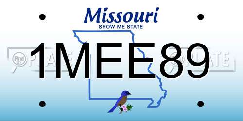 1MEE89 Missouri License Plate