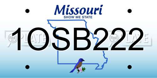 1OSB222 Missouri License Plate