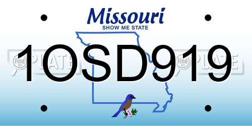 1OSD919 Missouri License Plate
